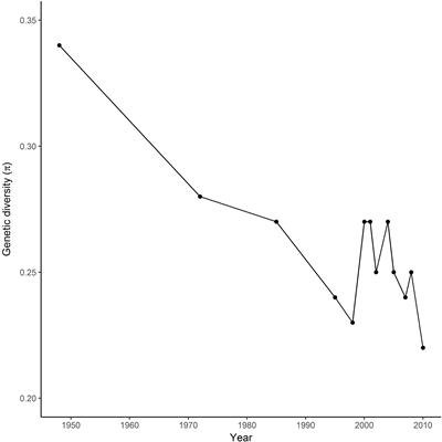 Haplotype Loci Under Selection in Canadian Durum Wheat Germplasm Over 60 Years of Breeding: Association With Grain Yield, Quality Traits, Protein Loss, and Plant Height